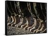 Afghan National Army Air Corp Soldiers Training in Kandahar, Afghanistan-null-Framed Stretched Canvas