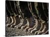 Afghan National Army Air Corp Soldiers Training in Kandahar, Afghanistan-null-Stretched Canvas