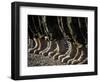 Afghan National Army Air Corp Soldiers Training in Kandahar, Afghanistan-null-Framed Photographic Print