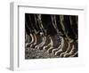 Afghan National Army Air Corp Soldiers Training in Kandahar, Afghanistan-null-Framed Photographic Print