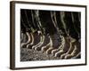 Afghan National Army Air Corp Soldiers Training in Kandahar, Afghanistan-null-Framed Photographic Print