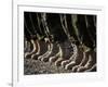 Afghan National Army Air Corp Soldiers Training in Kandahar, Afghanistan-null-Framed Photographic Print