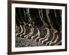 Afghan National Army Air Corp Soldiers Training in Kandahar, Afghanistan-null-Framed Photographic Print