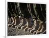 Afghan National Army Air Corp Soldiers Training in Kandahar, Afghanistan-null-Framed Photographic Print