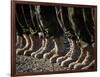 Afghan National Army Air Corp Soldiers Training in Kandahar, Afghanistan-null-Framed Photographic Print