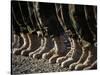 Afghan National Army Air Corp Soldiers Training in Kandahar, Afghanistan-null-Stretched Canvas