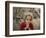 Afghan Refugee Child Looks on in a Neighborhood of Rawalpindi, Pakistan-null-Framed Photographic Print