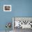 Afghan Refugee Child Looks on in a Neighborhood of Rawalpindi, Pakistan-null-Framed Photographic Print displayed on a wall