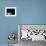 Afghan School Girls Read their Lessons at the Aziz Afghan Secondary School in Kabul, Afghanistan-null-Framed Photographic Print displayed on a wall