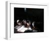 Afghan School Girls Read their Lessons at the Aziz Afghan Secondary School in Kabul, Afghanistan-null-Framed Photographic Print