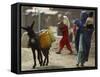 Afghan Woman Walks Along with Donkey Carrying Jerry Cans Filled with Water in Kabul, Afghanistan-null-Framed Stretched Canvas