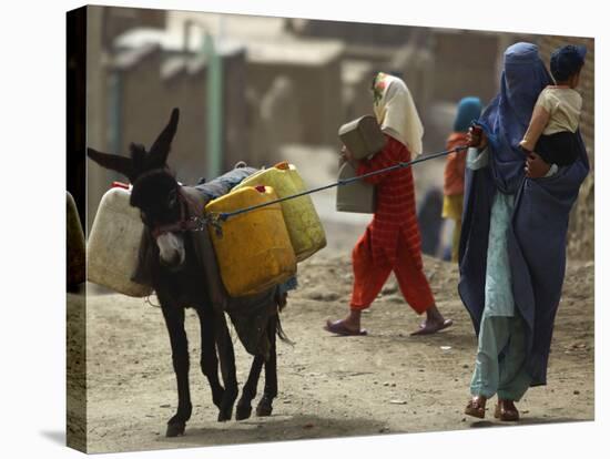 Afghan Woman Walks Along with Donkey Carrying Jerry Cans Filled with Water in Kabul, Afghanistan-null-Stretched Canvas