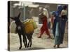 Afghan Woman Walks Along with Donkey Carrying Jerry Cans Filled with Water in Kabul, Afghanistan-null-Stretched Canvas