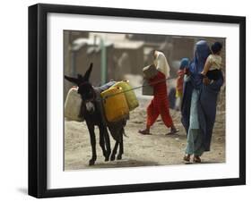 Afghan Woman Walks Along with Donkey Carrying Jerry Cans Filled with Water in Kabul, Afghanistan-null-Framed Photographic Print