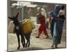Afghan Woman Walks Along with Donkey Carrying Jerry Cans Filled with Water in Kabul, Afghanistan-null-Mounted Photographic Print