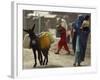 Afghan Woman Walks Along with Donkey Carrying Jerry Cans Filled with Water in Kabul, Afghanistan-null-Framed Photographic Print