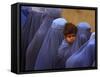 Afghan Women Wearing Burqas Line Up to Vote at a Polling Station in Kabul-null-Framed Stretched Canvas