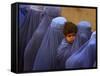 Afghan Women Wearing Burqas Line Up to Vote at a Polling Station in Kabul-null-Framed Stretched Canvas