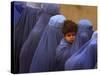 Afghan Women Wearing Burqas Line Up to Vote at a Polling Station in Kabul-null-Stretched Canvas