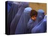 Afghan Women Wearing Burqas Line Up to Vote at a Polling Station in Kabul-null-Stretched Canvas