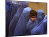 Afghan Women Wearing Burqas Line Up to Vote at a Polling Station in Kabul-null-Mounted Photographic Print