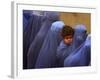 Afghan Women Wearing Burqas Line Up to Vote at a Polling Station in Kabul-null-Framed Photographic Print