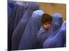 Afghan Women Wearing Burqas Line Up to Vote at a Polling Station in Kabul-null-Mounted Photographic Print