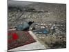 Afghan Youth Sits on a Rooftop During the Celebration of Nowruz-null-Mounted Photographic Print