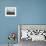 Afghan Youths Warm up Themselves Before a Soccer Match-null-Framed Photographic Print displayed on a wall