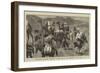 Afghanistan, Different Transport Animals Used in the Campaign in the South-John Charles Dollman-Framed Giclee Print