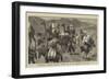 Afghanistan, Different Transport Animals Used in the Campaign in the South-John Charles Dollman-Framed Giclee Print