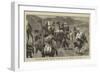 Afghanistan, Different Transport Animals Used in the Campaign in the South-John Charles Dollman-Framed Giclee Print