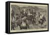 Afghanistan, Different Transport Animals Used in the Campaign in the South-John Charles Dollman-Framed Stretched Canvas