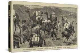 Afghanistan, Different Transport Animals Used in the Campaign in the South-John Charles Dollman-Stretched Canvas
