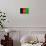 Afghanistan Flag Design with Wood Patterning - Flags of the World Series-Philippe Hugonnard-Mounted Premium Giclee Print displayed on a wall