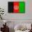 Afghanistan Flag Design with Wood Patterning - Flags of the World Series-Philippe Hugonnard-Framed Stretched Canvas displayed on a wall