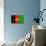 Afghanistan Flag Design with Wood Patterning - Flags of the World Series-Philippe Hugonnard-Art Print displayed on a wall