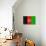 Afghanistan Flag Design with Wood Patterning - Flags of the World Series-Philippe Hugonnard-Art Print displayed on a wall