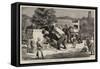 Afghanistan, Fortifying a Position, Elephants Razing Outbuildings-Harry Hamilton Johnston-Framed Stretched Canvas