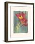 Aflame I-Amy Melious-Framed Art Print