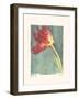 Aflame II-Amy Melious-Framed Art Print