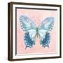 Aflutter I Watercolor-Danhui Nai-Framed Art Print