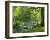 Afon Artro Passing Through Natural Oak Wood, Llanbedr, Gwynedd, Wales, United Kingdom, Europe-Pearl Bucknall-Framed Photographic Print