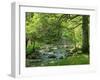 Afon Artro Passing Through Natural Oak Wood, Llanbedr, Gwynedd, Wales, United Kingdom, Europe-Pearl Bucknall-Framed Photographic Print