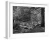 Afon Artro Passing Through Natural Oak Wood, Llanbedr, Gwynedd, Wales, United Kingdom, Europe-Pearl Bucknall-Framed Photographic Print