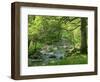 Afon Artro Passing Through Natural Oak Wood, Llanbedr, Gwynedd, Wales, United Kingdom, Europe-Pearl Bucknall-Framed Photographic Print