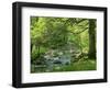 Afon Artro Passing Through Natural Oak Wood, Llanbedr, Gwynedd, Wales, United Kingdom, Europe-Pearl Bucknall-Framed Photographic Print