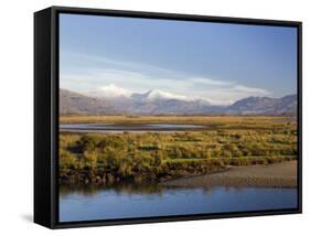 Afon Glaslyn River and Glaslyn Marshes, Porthmadog, Gwynedd, North Wales, UK-Pearl Bucknall-Framed Stretched Canvas