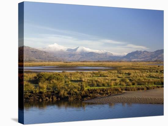 Afon Glaslyn River and Glaslyn Marshes, Porthmadog, Gwynedd, North Wales, UK-Pearl Bucknall-Stretched Canvas