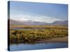 Afon Glaslyn River and Glaslyn Marshes, Porthmadog, Gwynedd, North Wales, UK-Pearl Bucknall-Stretched Canvas